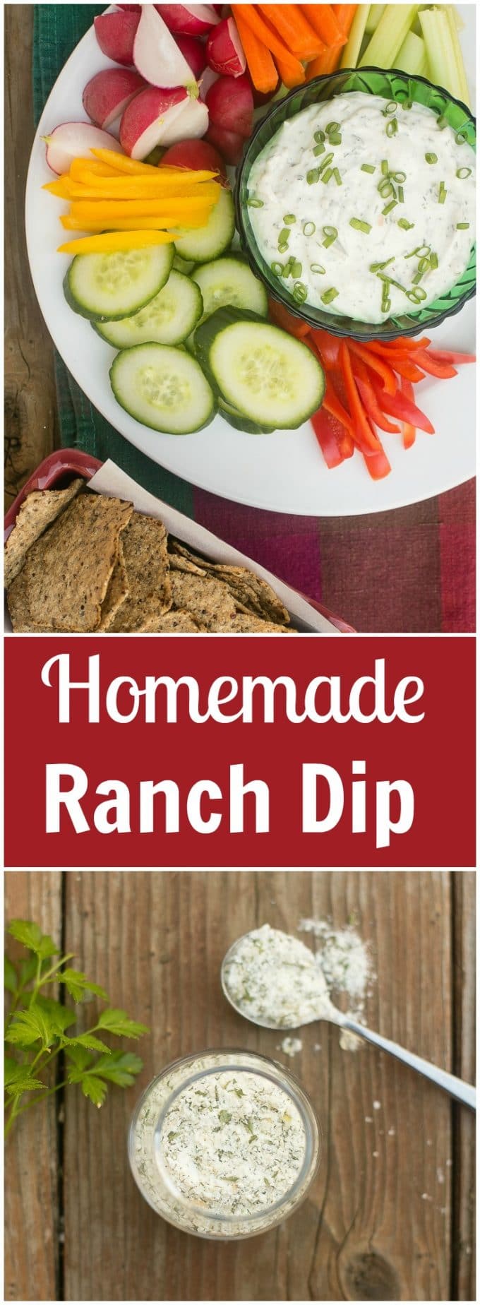Homemade Ranch Dip Powder Dinner at the Zoo