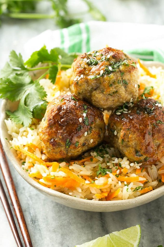 Asian Turkey Meatballs & Carrot Rice Dinner at the Zoo