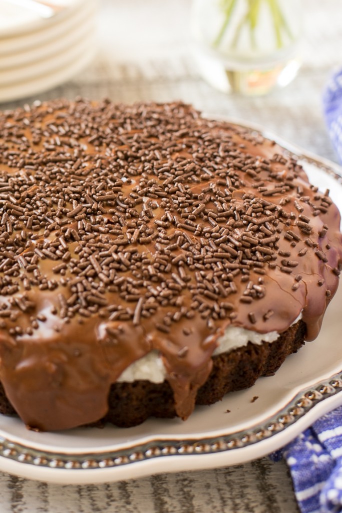 Chocolate Coconut Marshmallow Cake Dinner at the Zoo