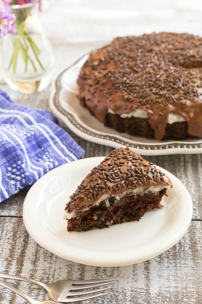 Chocolate Coconut Marshmallow Cake Dinner at the Zoo