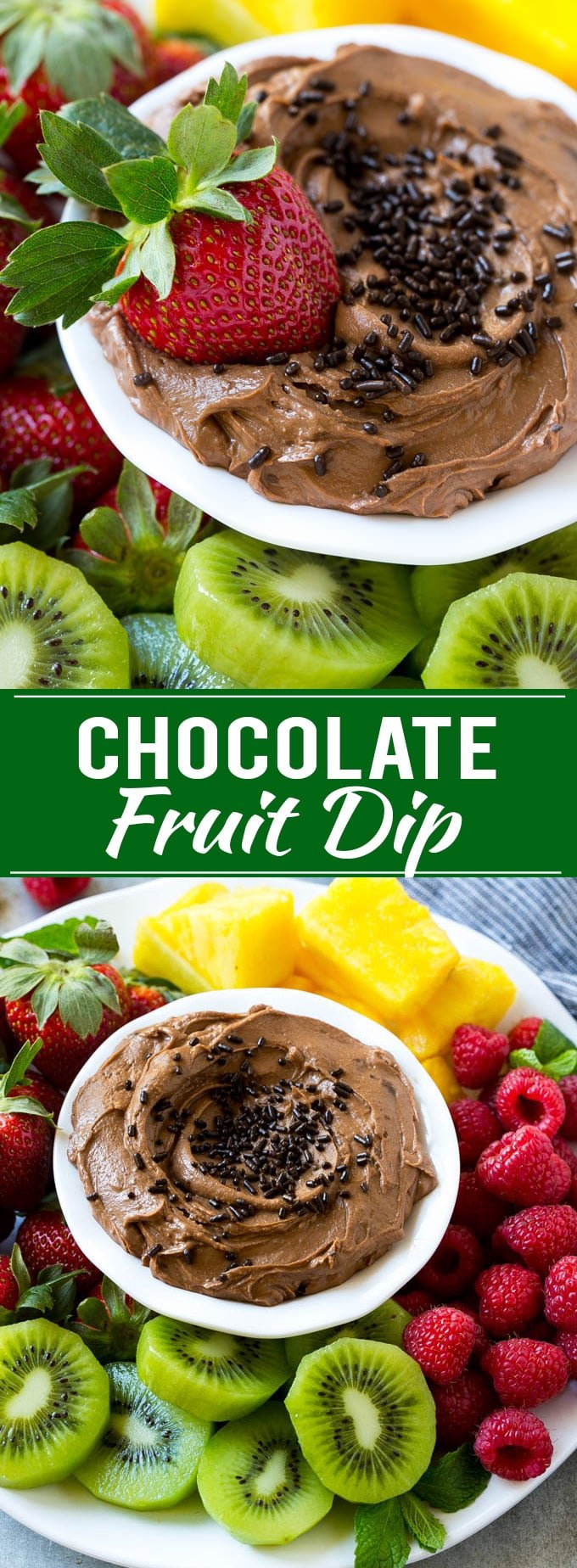 Chocolate Fruit Dip Dinner at the Zoo