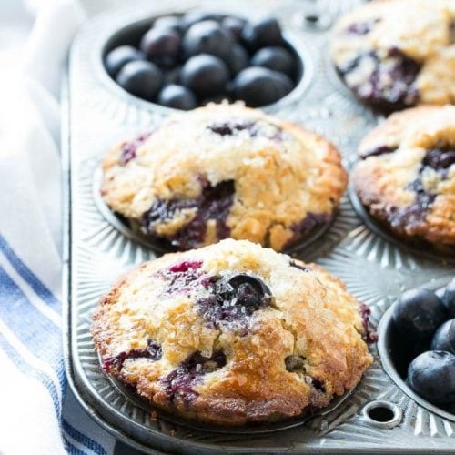 Healthy Blueberry Muffins Dinner At The Zoo