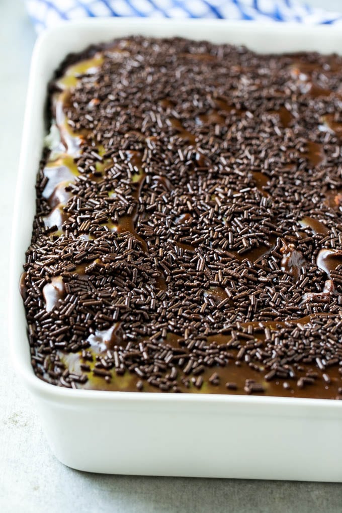 A pan of chocolate coconut cake topped with frosting and sprinkles.