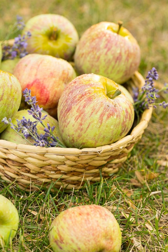 A recipe for a buttery cake full of cinnamon sugar apples and topped with honey.