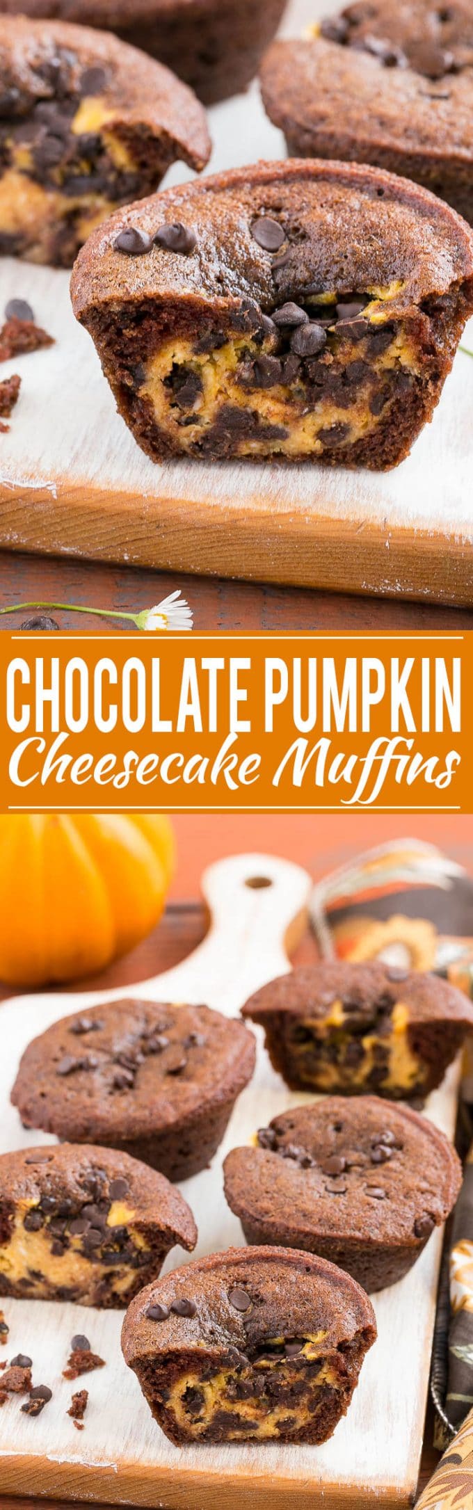 Chocolate Pumpkin Cheesecake Muffin Recipe | Chocolate Pumpkin Muffins | Chocolate Pumpkin Cheesecake Muffins