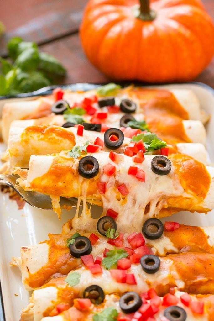 Pumpkin isn't just for dessert! These chicken enchiladas are made with a velvety pumpkin sauce that's totally savory and an unexpected way to elevate enchiladas into a dish fit for company.