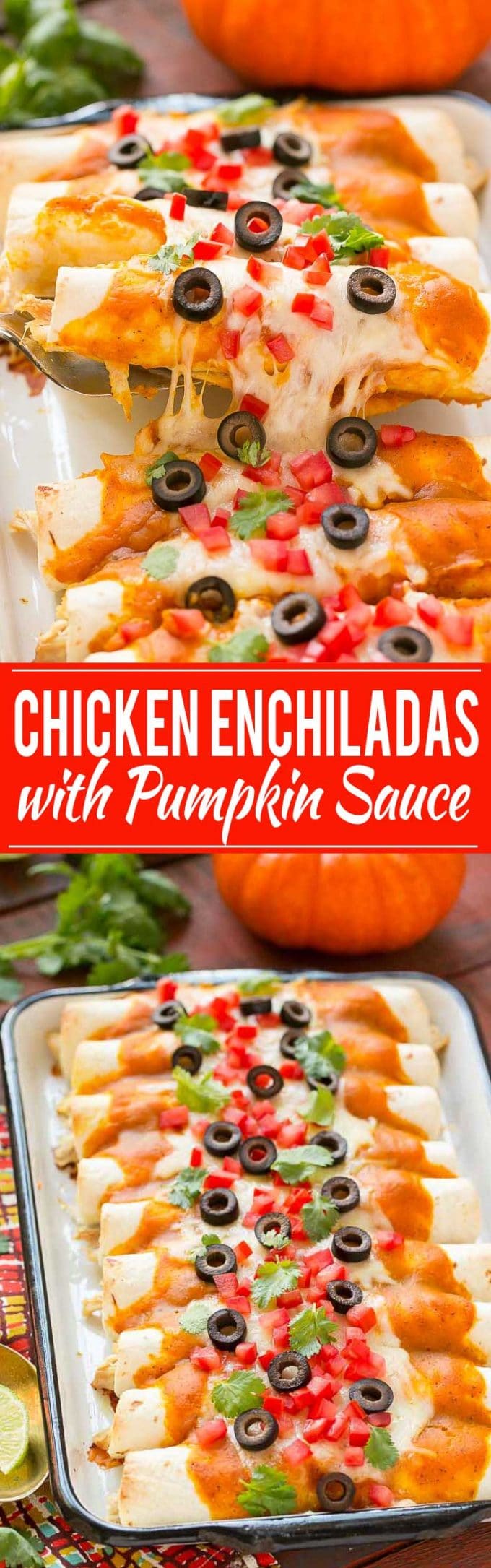 Chicken Enchiladas with Pumpkin Sauce Recipe | Pumpkin Chicken Enchiladas | Pumpkin Sauce | Chicken Enchiladas | Best Chicken Enchiladas