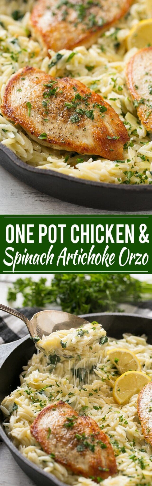 Chicken with Spinach Artichoke Pasta - Dinner at the Zoo