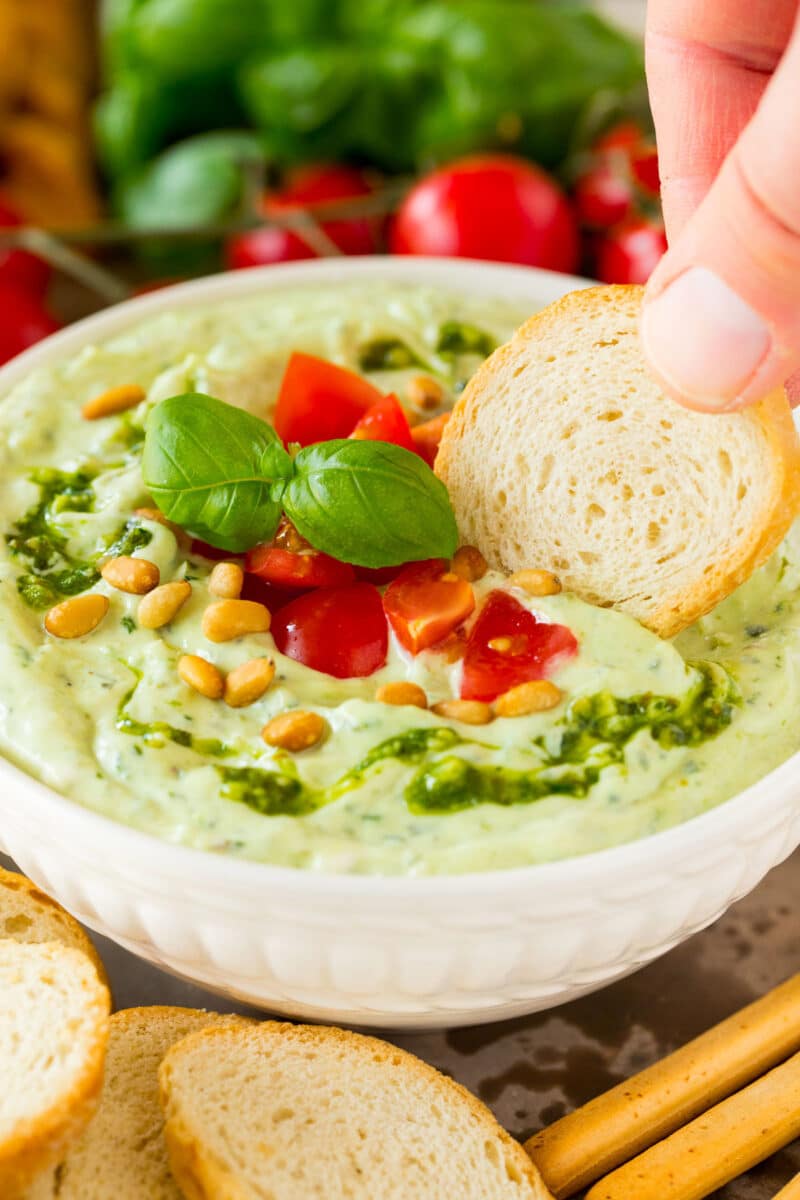 Creamy Pesto Dip Dinner at the Zoo