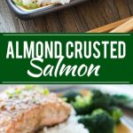 This recipe for almond crusted salmon with honey garlic sauce is a healthy and quick 7 ingredient meal that's full of flavor.
