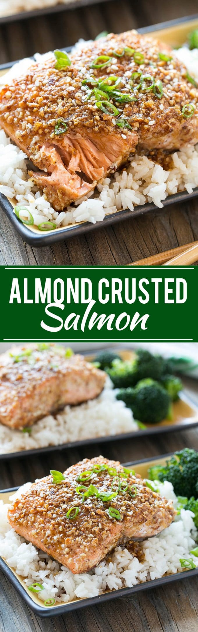 Almond Crusted Salmon | Seared Salmon | Asian Salmon #salmon #fish #seafood #almonds #dinner #dinneratthezoo