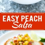 Peach Salsa | Fruit Salsa #peaches #salsa #dip #appetizer #dinneratthezoo