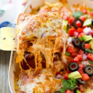 This easy recipe for chicken enchilada casserole is just 5 ingredients, all layered together and baked to perfection. A quick and simple meal that the whole family will love!