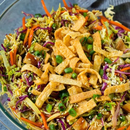 https://www.dinneratthezoo.com/wp-content/uploads/2016/11/chinese-chicken-salad-13-500x500.jpg