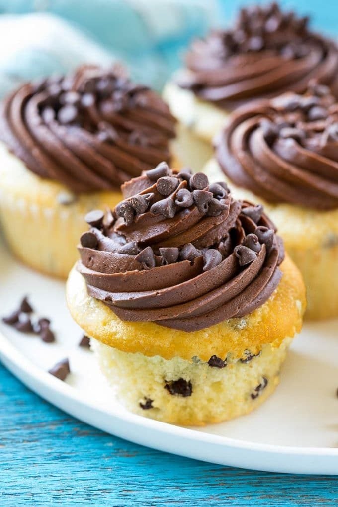 A plate full of chocolate chip cupcakes topped with chocolate frosting and more chocolate chips.