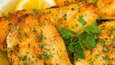 Lemon Pepper Chicken - Dinner at the Zoo