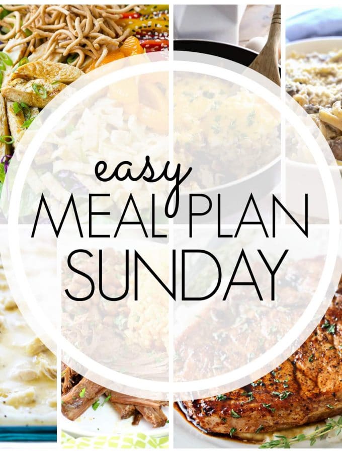 Blog Posts Dinner at the Zoo