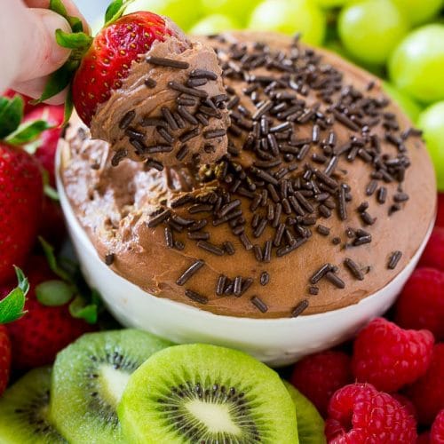 Chocolate Fruit Dip Dinner at the Zoo