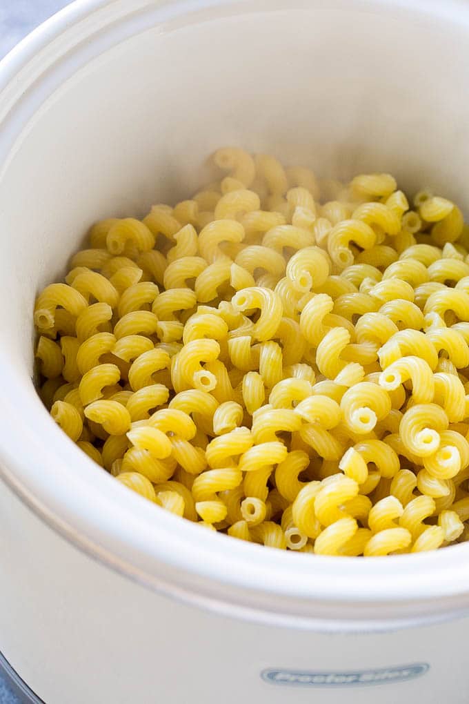 Slow Cooker Mac and Cheese Dinner at the Zoo
