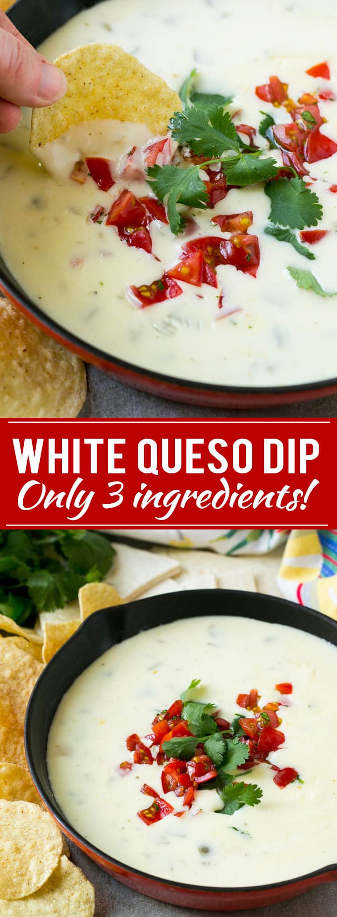 White Queso Dip Dinner at the Zoo