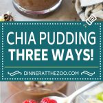 Chia Pudding Recipe | Chocolate Chia Pudding | Coconut Chia Pudding | Raspberry Chia Pudding #chia #pudding #breakfast #dessert #vegan #glutenfree #dairyfree #dinneratthezoo