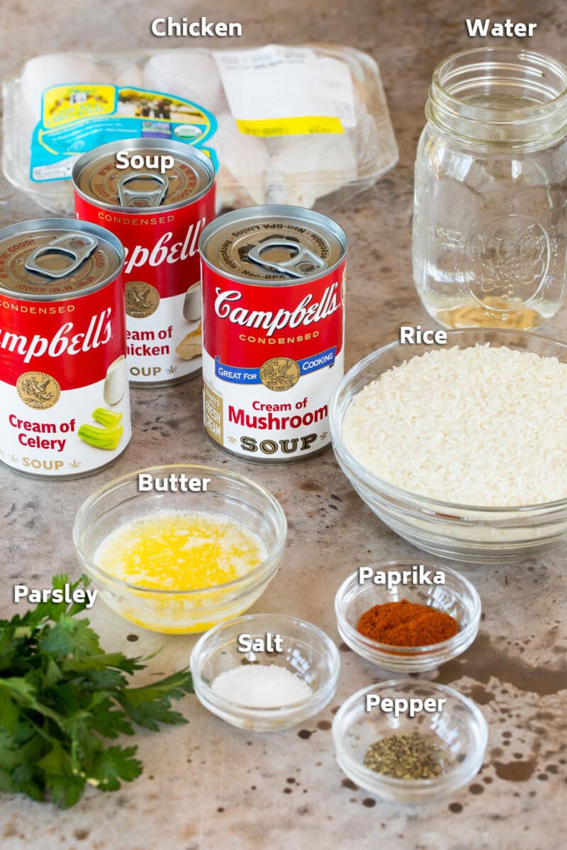 Chicken and Rice Casserole Dinner at the Zoo