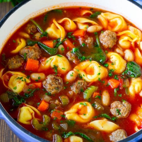 Tortellini Soup with Sausage Dinner at the Zoo
