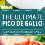 Pico de Gallo Recipe | Homemade Salsa Recipe | Salsa Fresca Recipe #salsa #salsafresca #picodegallo #snack #appetizer #dinneratthezoo