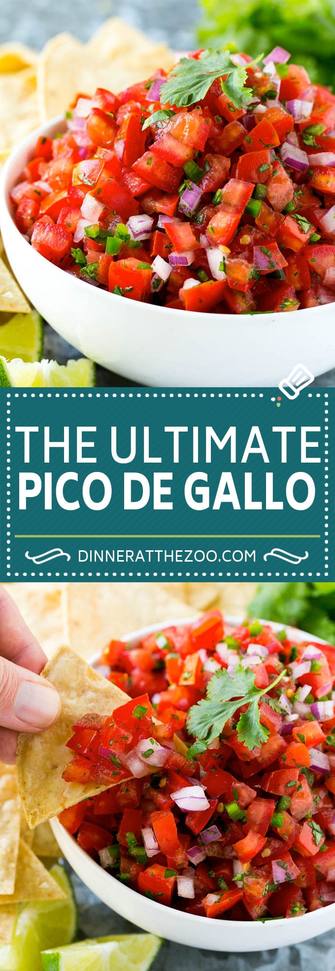 Pico de Gallo Recipe | Homemade Salsa Recipe | Salsa Fresca Recipe #salsa #salsafresca #picodegallo #snack #appetizer #dinneratthezoo