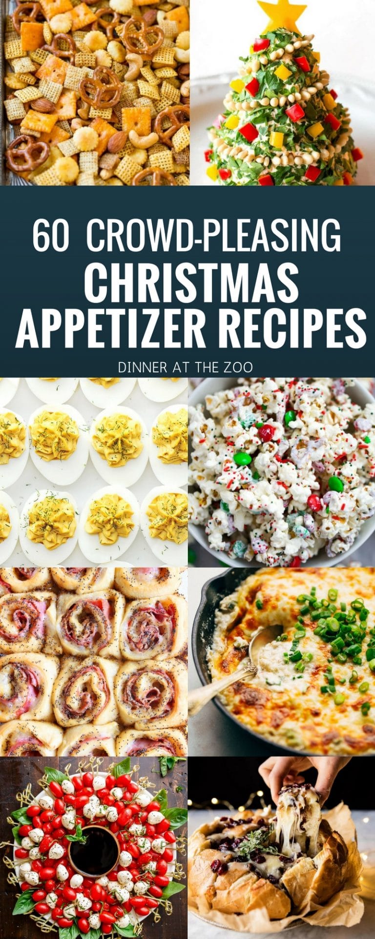 60 Christmas Appetizer Recipes - Dinner at the Zoo