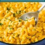 This stovetop mac and cheese is a one pot dish of tender macaroni simmered in an ultra creamy sauce with two types of cheese.