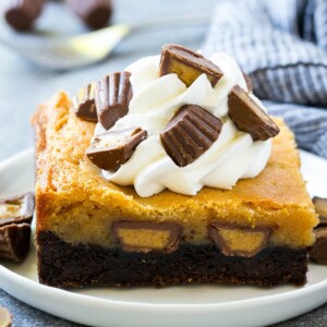 Peanut butter chocolate gooey butter cake topped with whipped cream and chopped peanut butter cups.