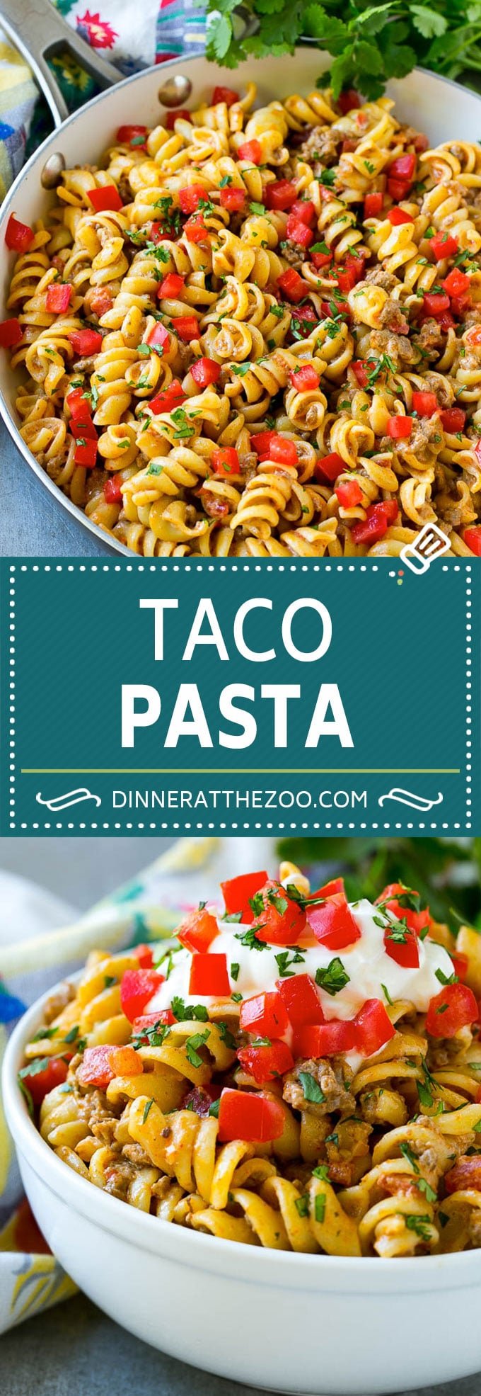 Taco Pasta Recipe | Cheesy Pasta | Mexican Pasta #taco #pasta #dinneratthezoo