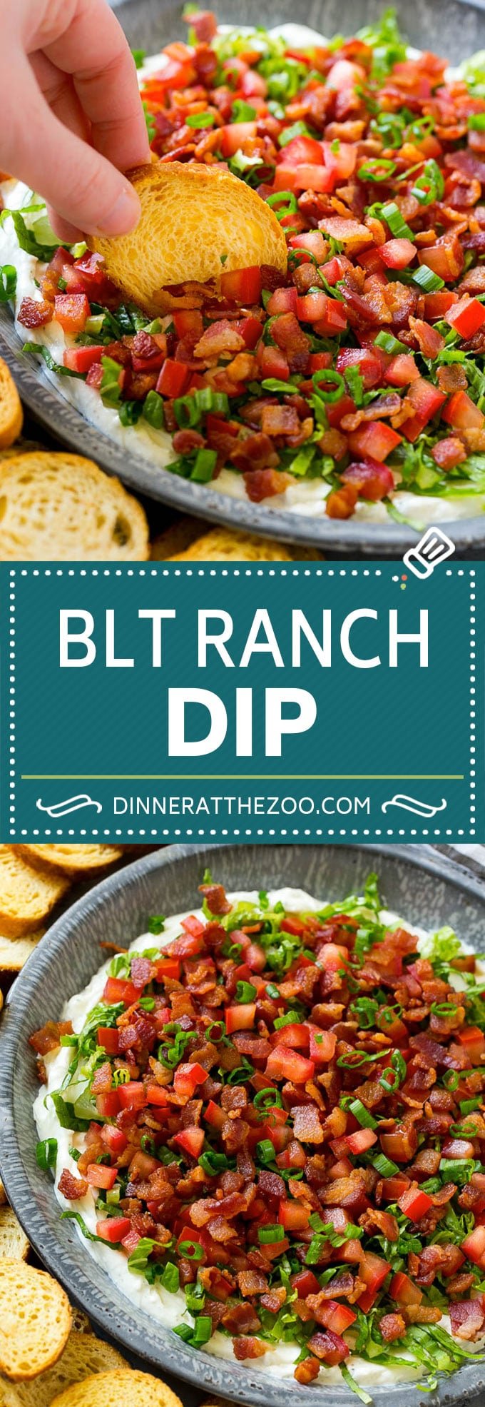 BLT Dip Recipe | Bacon Dip Recipe | Ranch Dip #dip #ranch #bacon #lettuce #tomato #appetizer #dinneratthezoo
