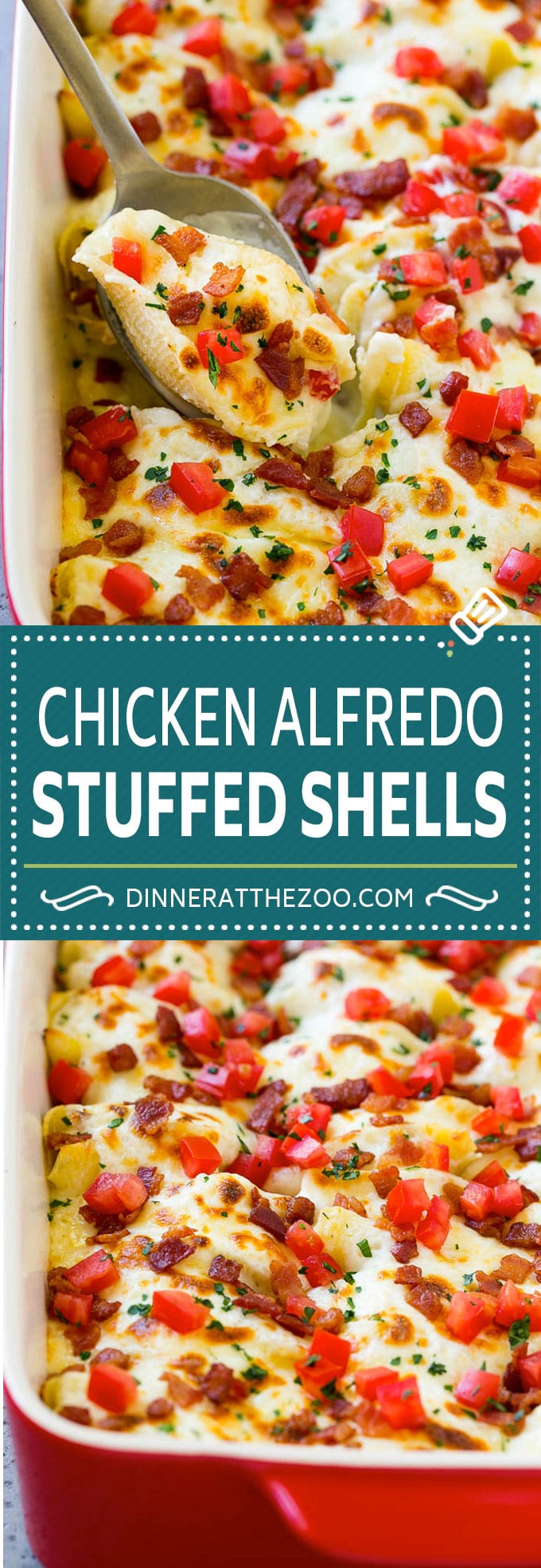 Chicken Alfredo Stuffed Shells Recipe | Stuffed Shells | Chicken Stuffed Shells | Baked Pasta #stuffedshells #alfredo #chicken #pasta #cheese #dinner #dinneratthezoo