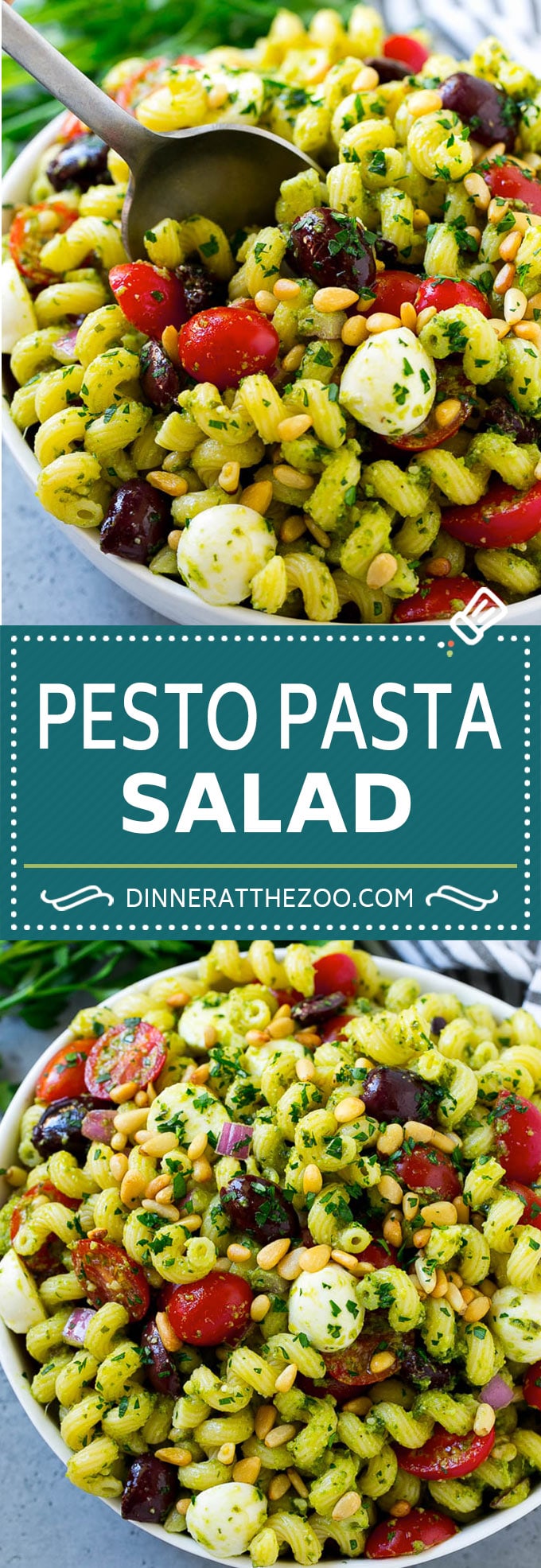 Pesto Pasta Salad | Italian Pasta Salad | Easy Pasta Salad #pasta #salad #pesto #olives #tomatoes #dinneratthezoo