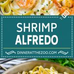 Shrimp Alfredo Recipe | Shrimp Alfredo Pasta | Shrimp Fettuccine Alfredo #shrimp #pasta #italianfood #dinneratthezoo