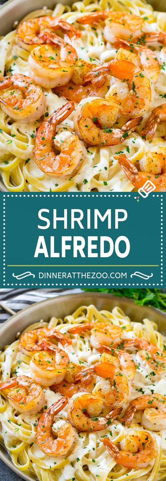 Shrimp Alfredo Recipe | Shrimp Alfredo Pasta | Shrimp Fettuccine Alfredo #shrimp #pasta #italianfood #dinneratthezoo