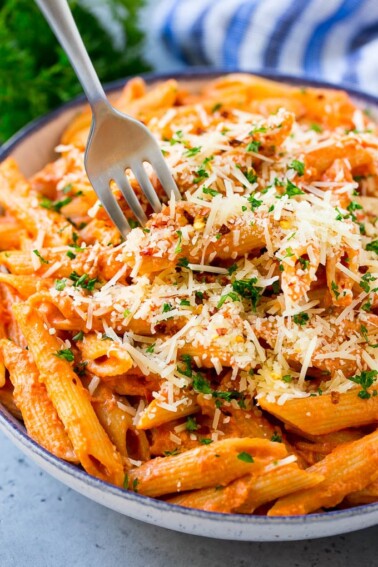 Penne alla Vodka Pasta - Dinner at the Zoo