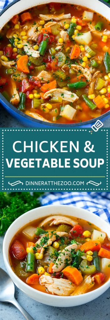Chicken Vegetable Soup - Dinner at the Zoo