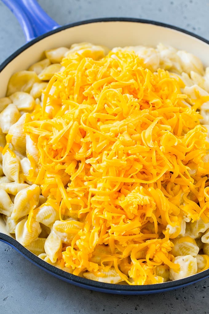 Creamy shell pasta topped with a pile of shredded cheddar cheese.