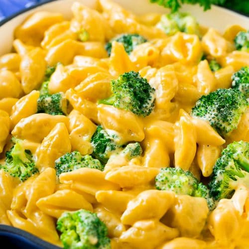 Broccoli Mac And Cheese Dinner At The Zoo