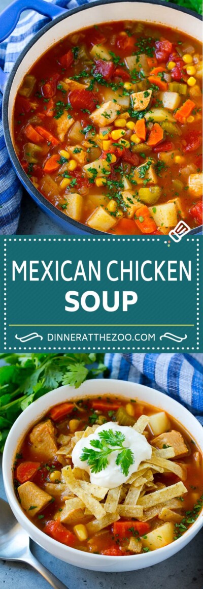 Mexican Chicken Soup - Dinner at the Zoo