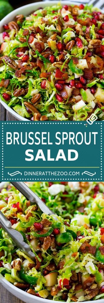 Brussels Sprout Salad - Dinner at the Zoo