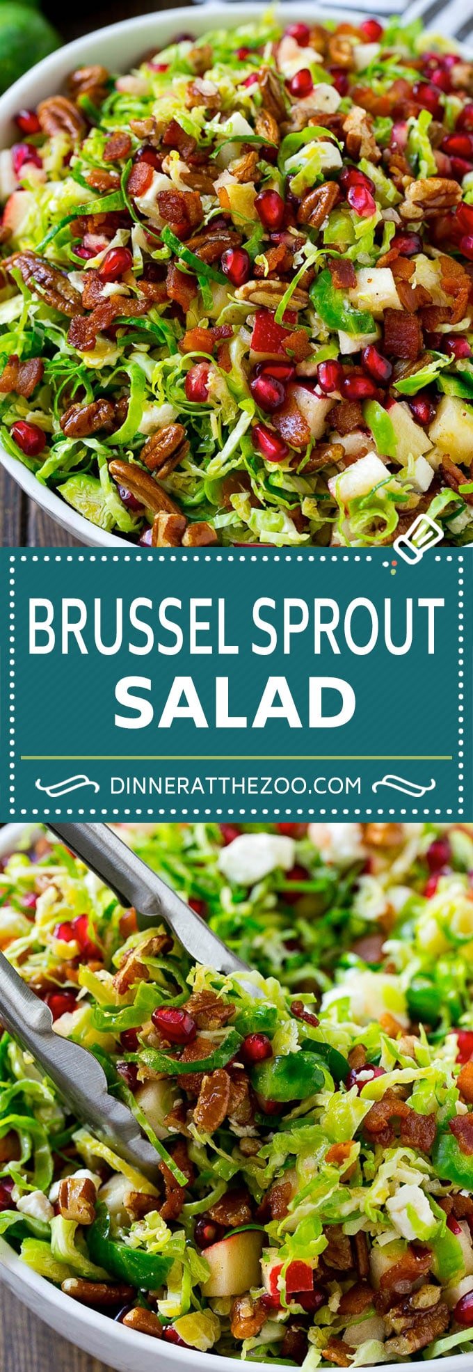 Brussels Sprout Salad Recipe | Shredded Brussels Sprouts Salad | Fall Salad #salad #brusselssprouts #bacon #thanksgiving #pomegranate #apple #dinner #dinneratthezoo