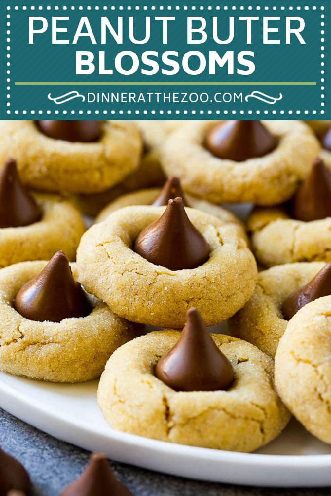 Peanut Butter Blossoms Recipe | Hershey Kiss Cookies | Chocolate Peanut Butter Cookies #cookies #peanutbutter #chocolate #dessert #baking #christmas #christmascookies #dinneratthezoo