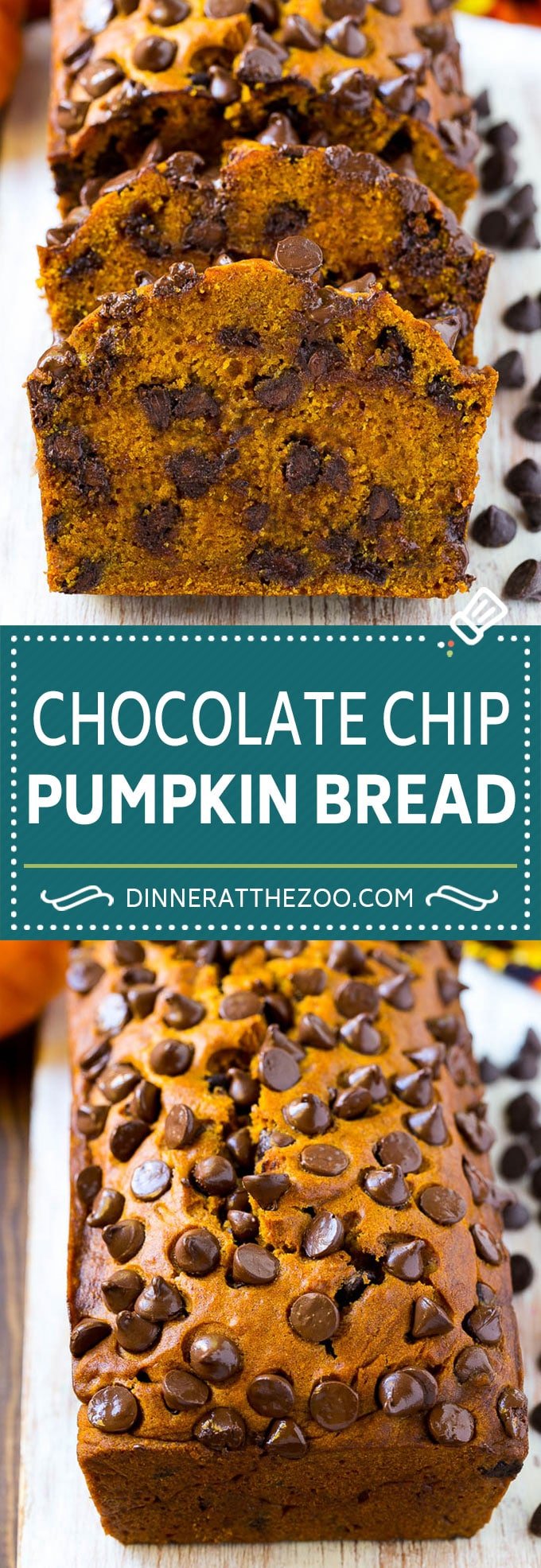 Pumpkin Chocolate Chip Bread Recipe | Pumpkin Bread | Chocolate Pumpkin Bread #pumpkin #bread #fall #chocolate #baking #dessert #dinneratthezoo