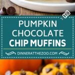 Pumpkin Chocolate Chip Muffins Recipe | Pumpkin Muffins | Chocolate Pumpkin Muffins #muffins #pumpkin #fall #chocolate #dessert #snack #dinneratthezoo