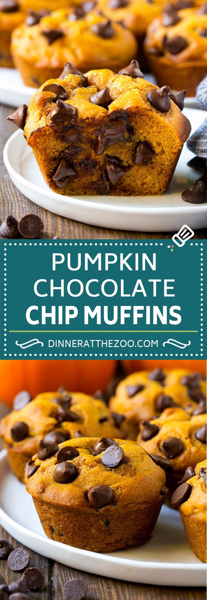 Pumpkin Chocolate Chip Muffins Recipe | Pumpkin Muffins | Chocolate Pumpkin Muffins #muffins #pumpkin #fall #chocolate #dessert #snack #dinneratthezoo