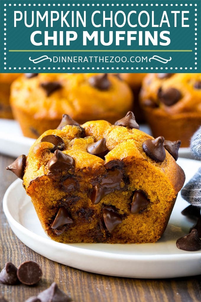 Pumpkin Chocolate Chip Muffins Recipe | Pumpkin Muffins | Chocolate Pumpkin Muffins #muffins #pumpkin #fall #chocolate #dessert #snack #dinneratthezoo